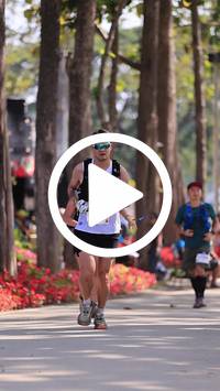 BIB:  <button type="button" onclick="openModal(27615246)" class="btn btn-primary btn-sm float-right" data-toggle="modal" data-target=".modal-high-quality">
                <i class="fa fa-download"></i> Download
                </button>